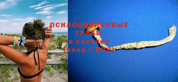 Альфа ПВП Богородск