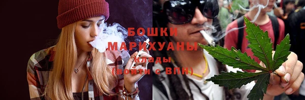 спайс Богданович