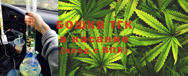 спайс Богданович