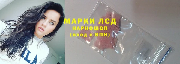 спайс Богданович