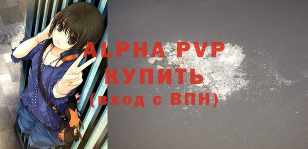 спайс Богданович