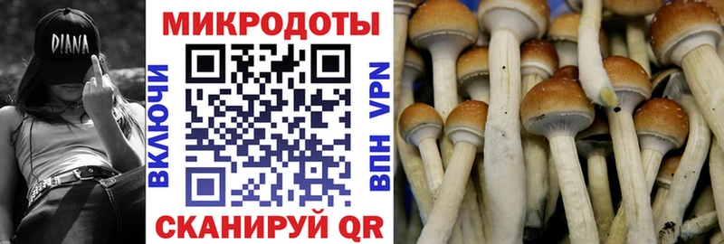 где продают наркотики  Октябрьский  Галлюциногенные грибы Magic Shrooms 